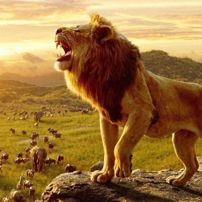 disney-lion-king disney-lion-king