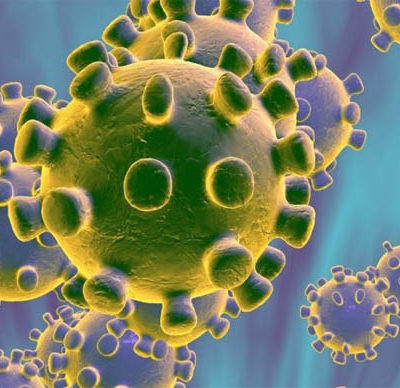 corona-virus corona-virus
