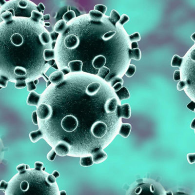 coronavirus coronavirus