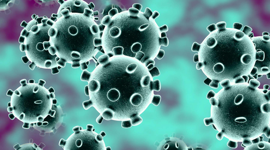 coronavirus coronavirus