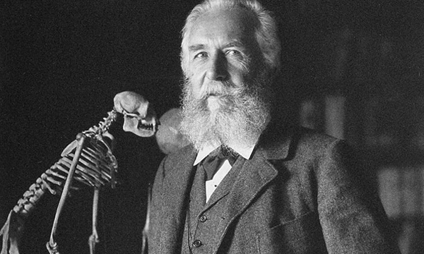 ernst-haeckel ernst-haeckel