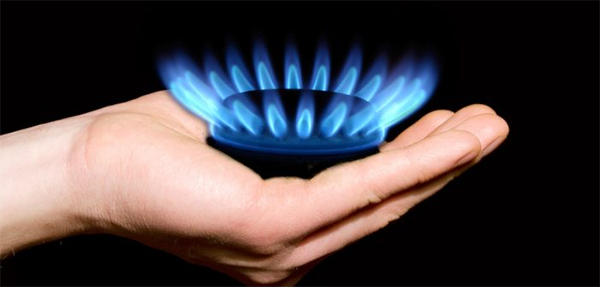 het-gasverbod-regisseren het-gasverbod-regisseren
