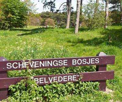 scheveningse-bosjes-belvedere scheveningse-bosjes-belvedere