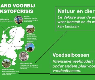 BEELD-Jaspers-voedselbos 2 BEELD-Jaspers-voedselbos 2