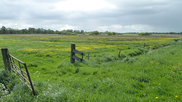 weilandje weilandje